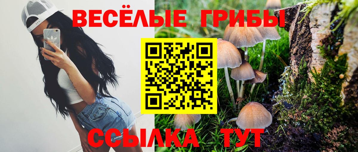 Галлюциногенные грибы Psilocybine cubensis Щёкино